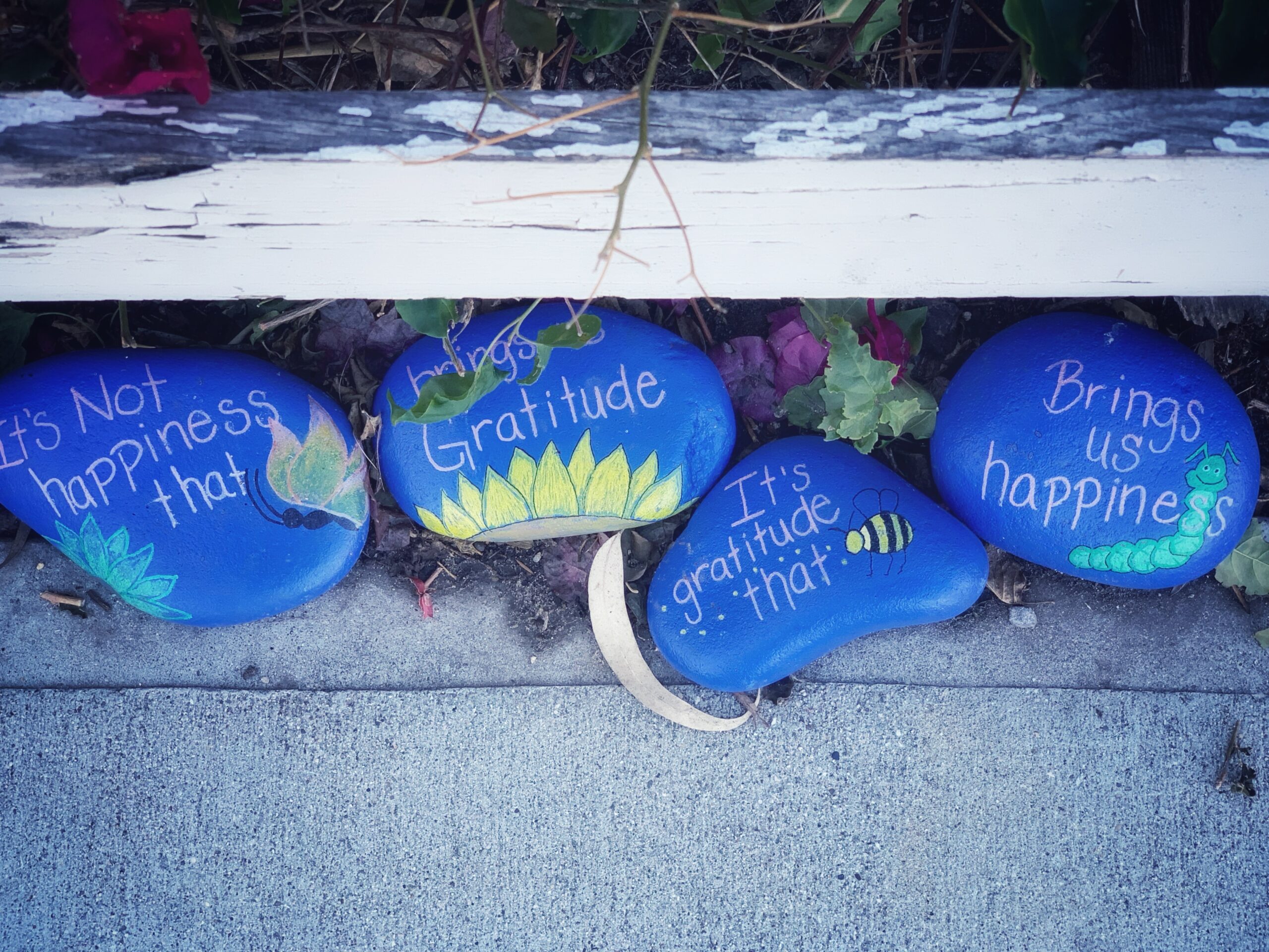 Cultivating Resilience: The Transformative Power of Daily Gratitude